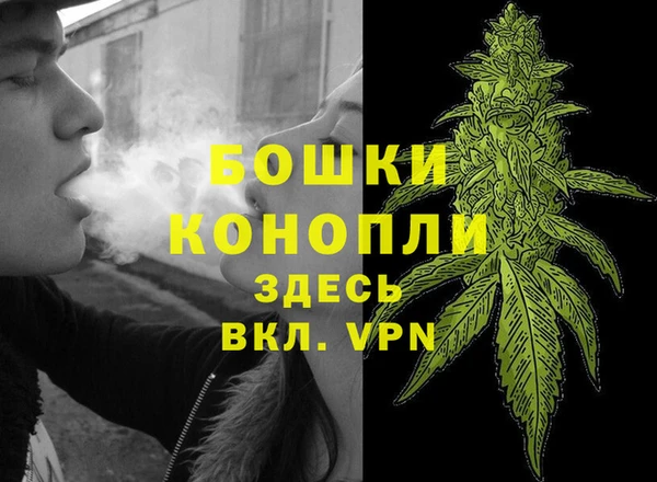 MESCALINE Лабытнанги