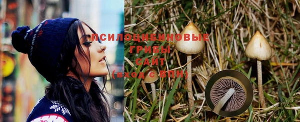 прущая мука Ладушкин