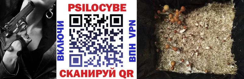 Псилоцибиновые грибы Psilocybine cubensis  Миллерово 