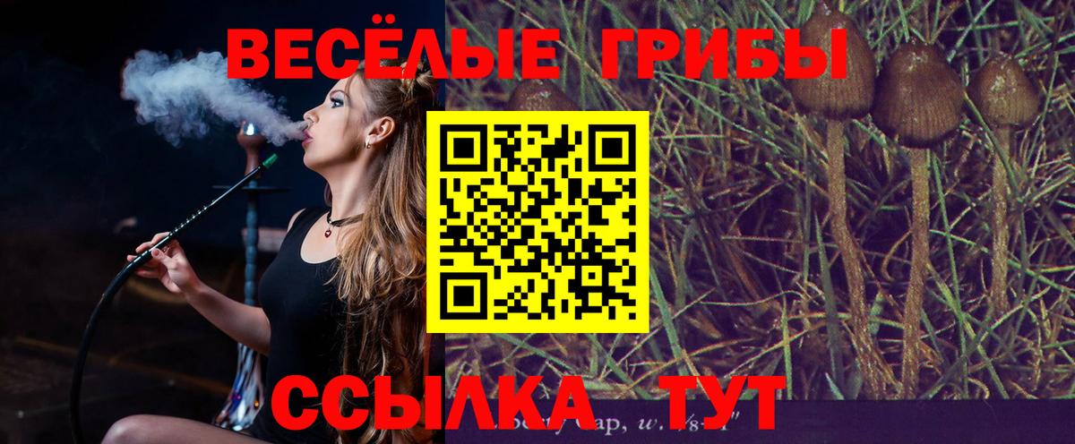 Галлюциногенные грибы мухоморы Миллерово
